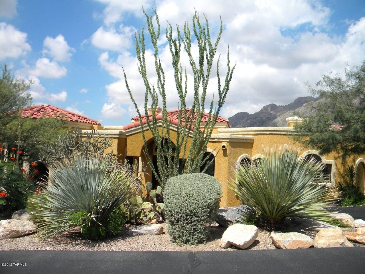 Landscaping Omni Pool Builders Design, Desert Landscaping Tucson