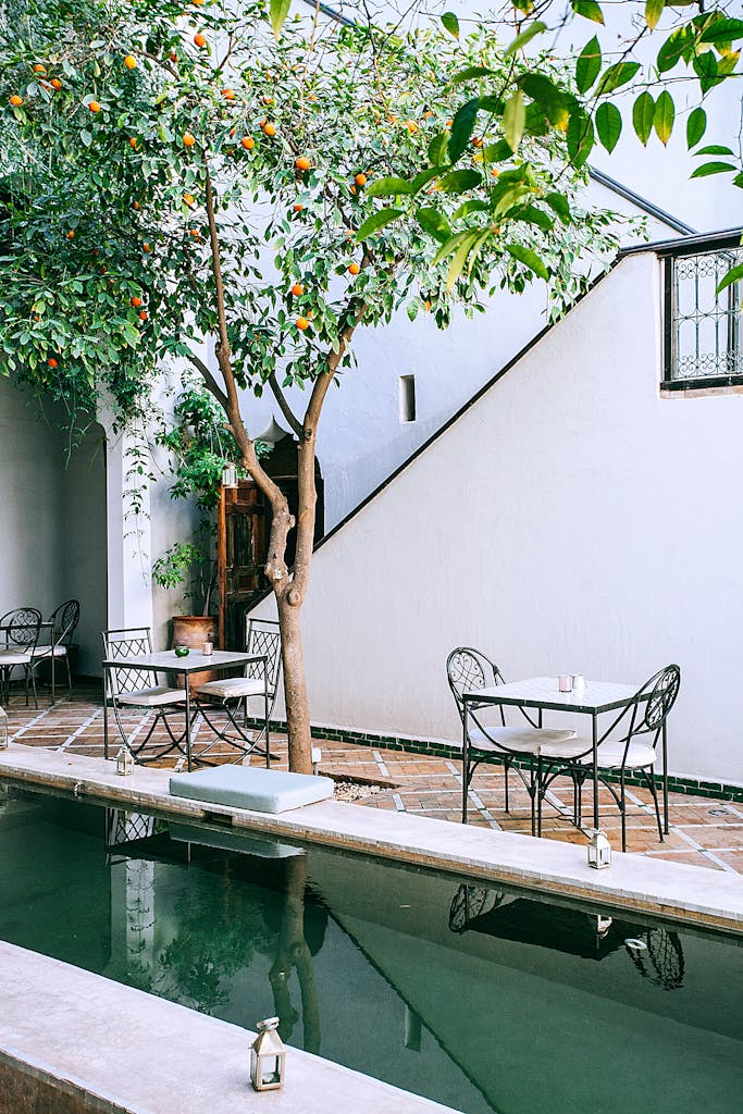 Choosing the Best Tucson Pool Builders for Your Backyard Retreat - Omni ...