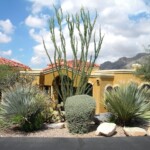 Landscape your front yard