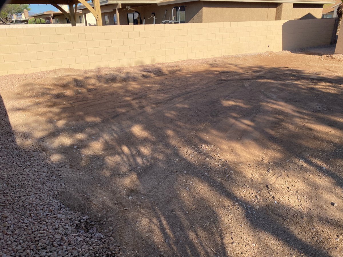 Level backyard where a pool used to be