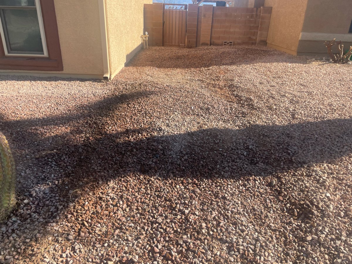 Finished backyard after pool removal